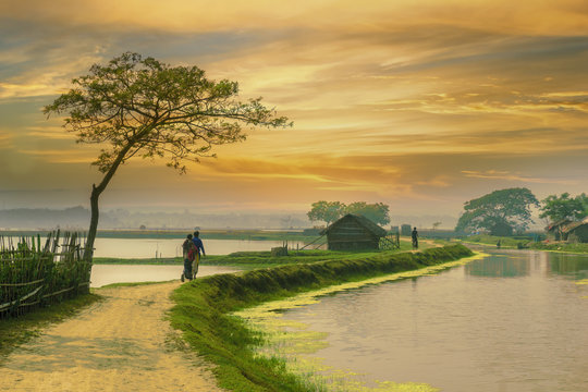 "A Quiet Walk Through The Heart Of Bangladesh's Nature"